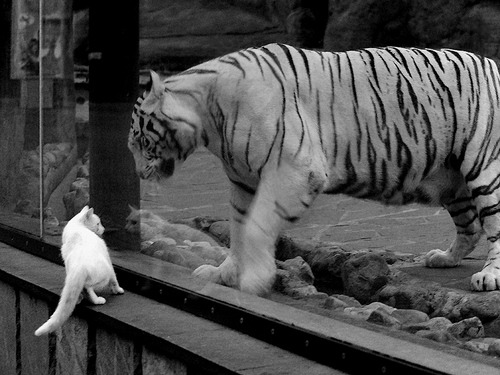 李刚仁,从东方学徒到安达卢西亚领航者