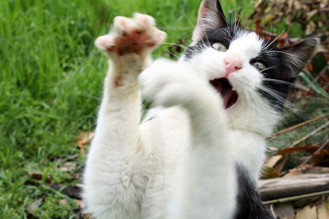 李刚仁,从东方学徒到安达卢西亚领航者