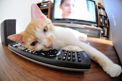 萨卡绝境救主，一场横跨国界与意甲的足球温情破壁