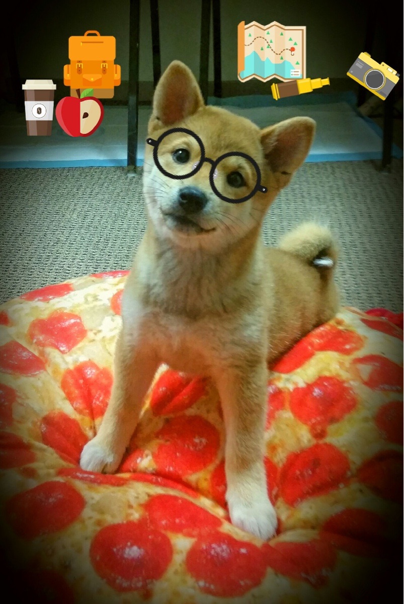 大西洋战争，帕尔默孤刃破坚城，爱尔兰铁阵淹黄金