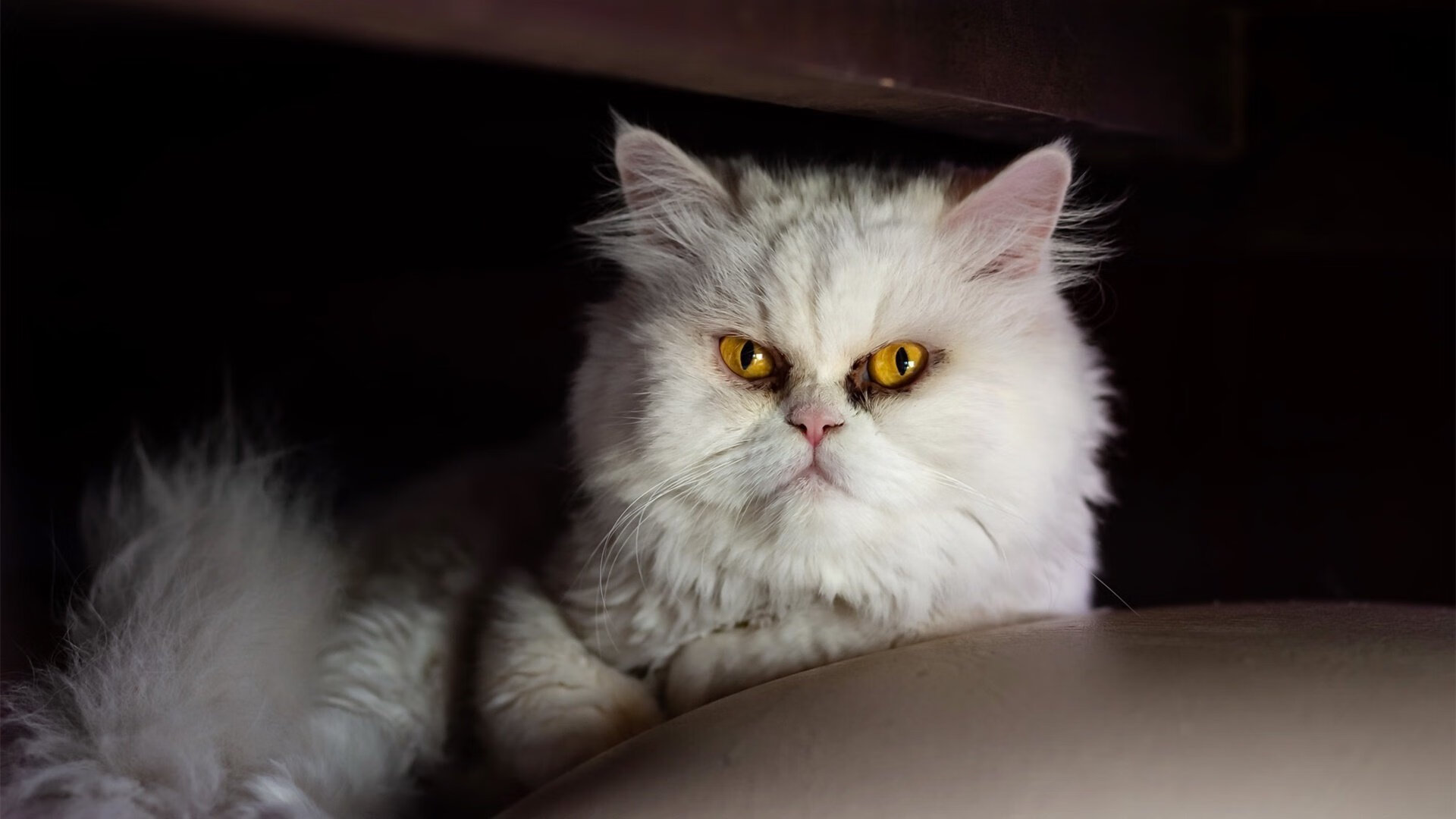 封锁之外，被包围的巴斯托尼与失声的毕尔巴鄂