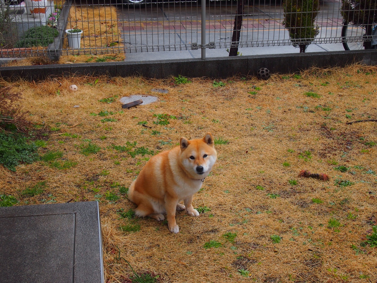 铁骨铮铮，实力为证—贝恩在粤美对抗赛中演绎自我正名之战