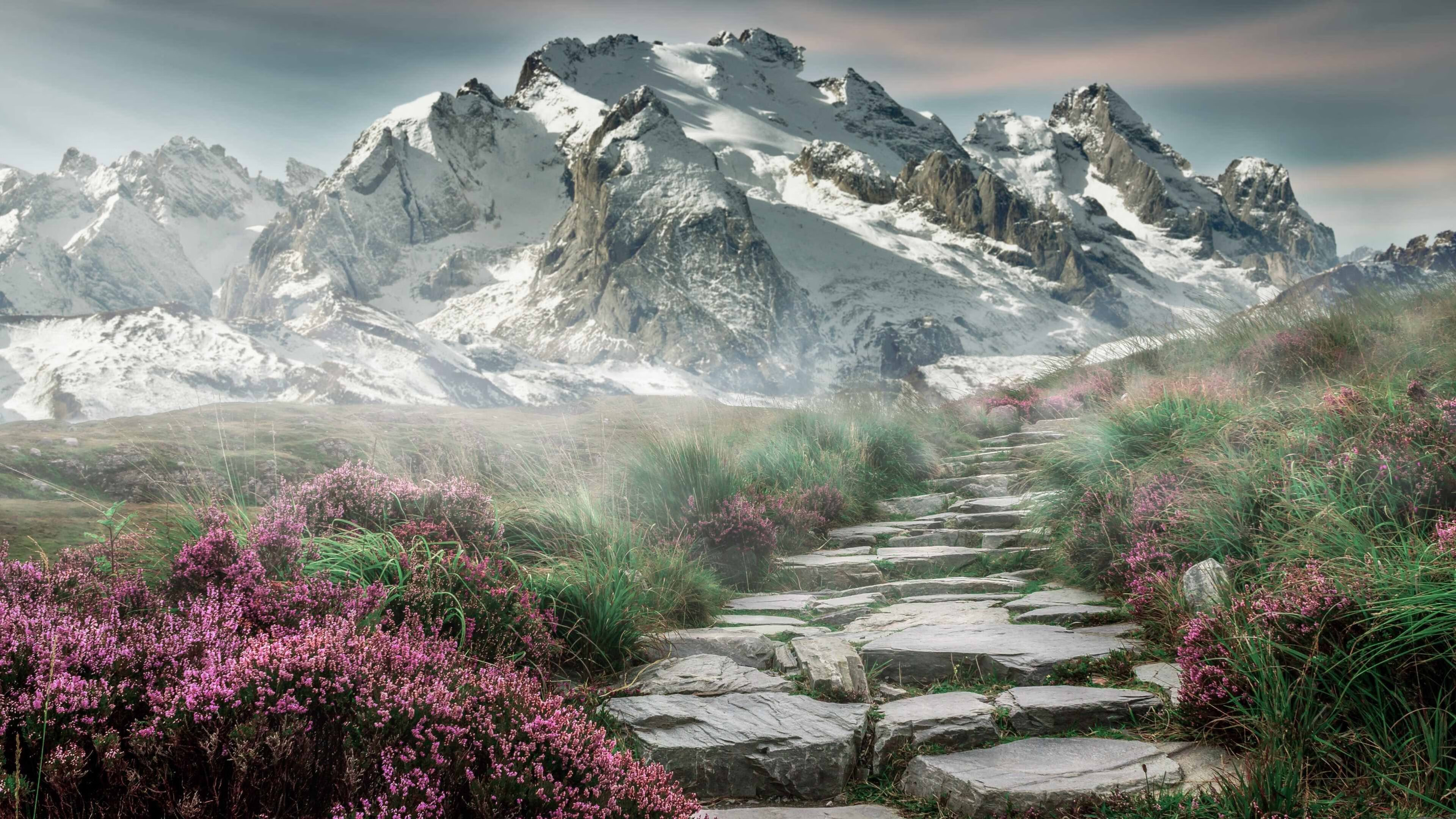 绝境骑士的逆袭，武切维奇如何化身关键先生掀翻老鹰？