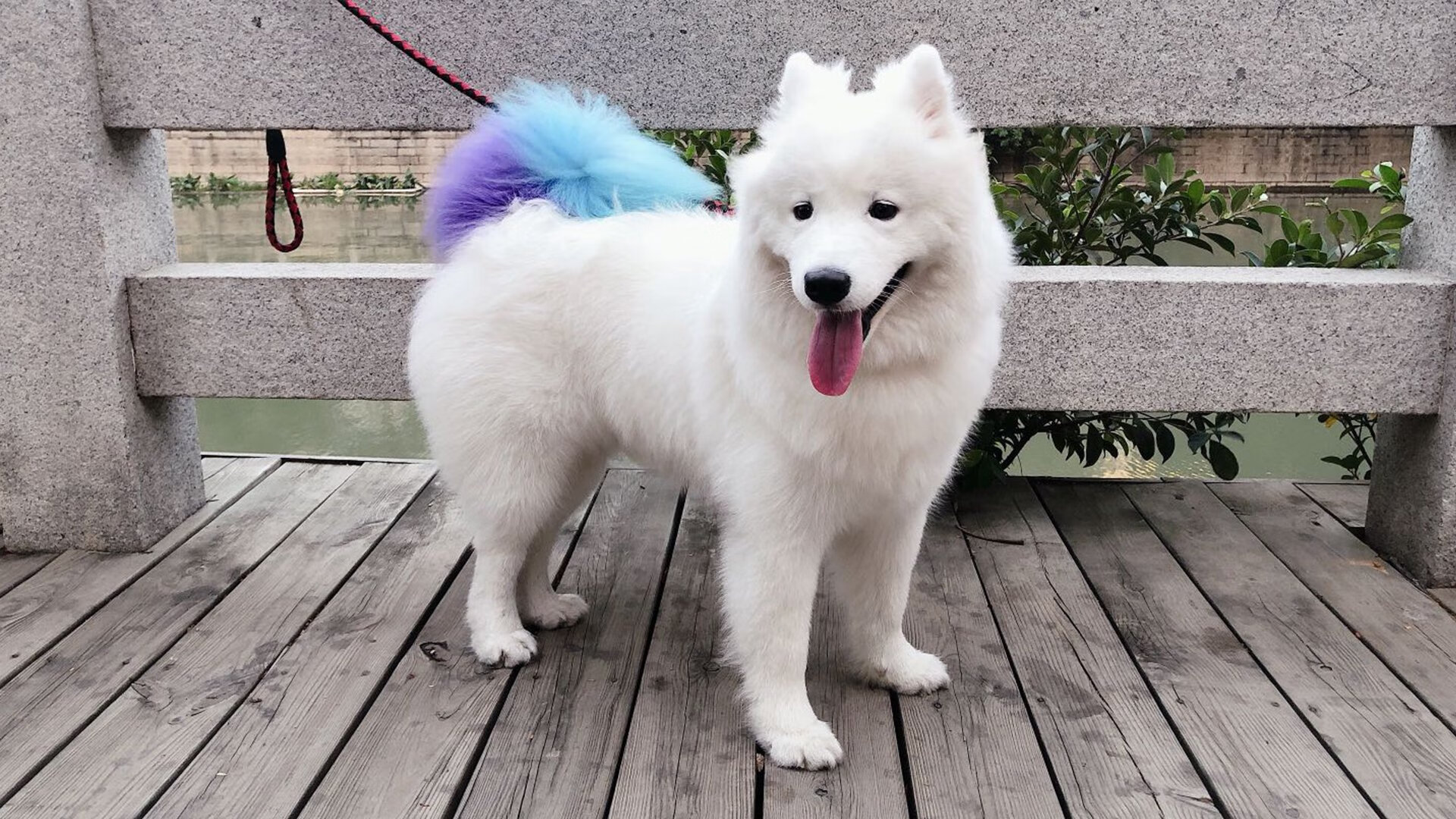 当门墙遇见铁幕，奥纳纳的孤高与芬兰的集体胜利