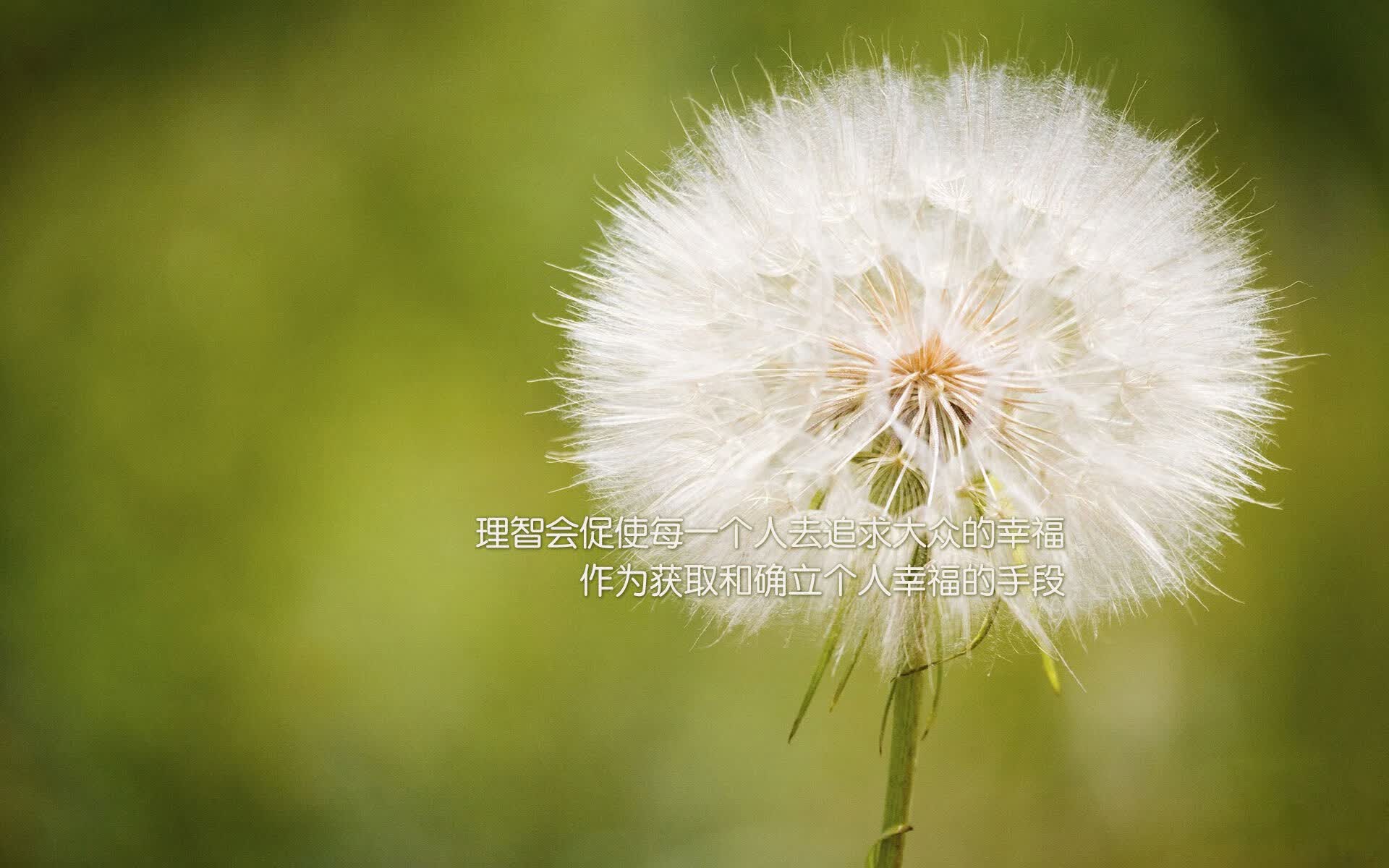 开云体育登录-2026世界杯F组，星条旗的闪电战，贝林厄姆一剑封喉